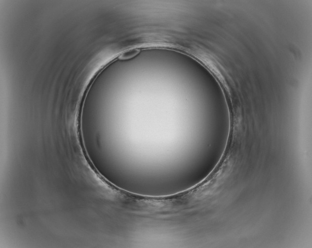 X0000111491197200907141232