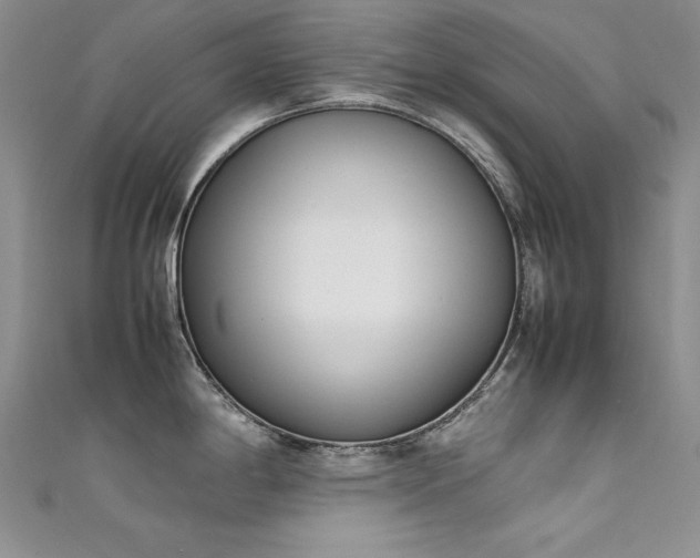 X0000111491198200907141232