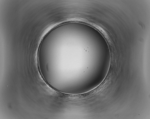 X0000111491199200907141232