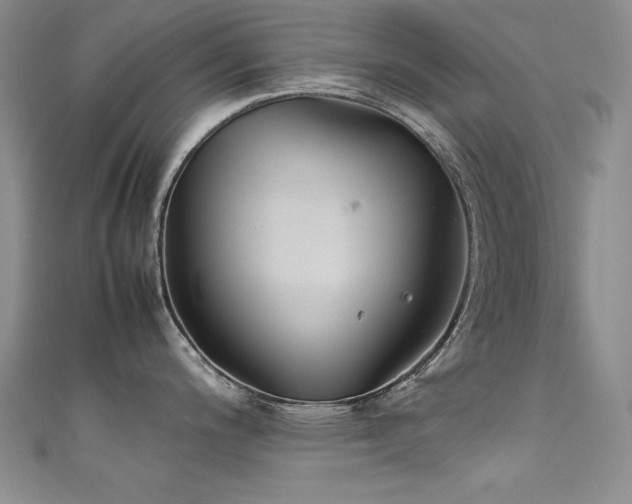 X0000111491200200907141232