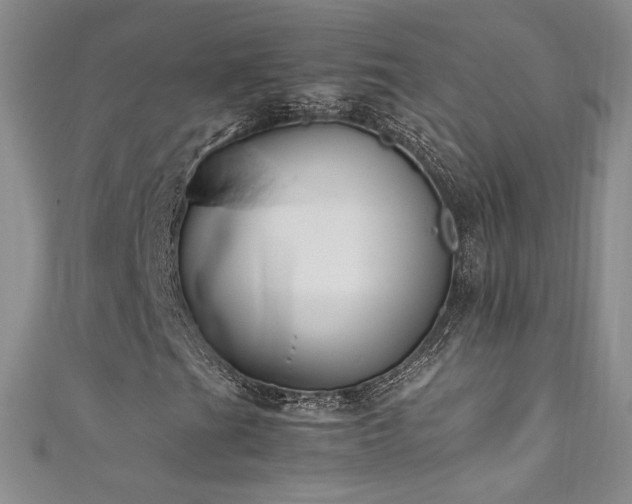 X0000111491201200907141232