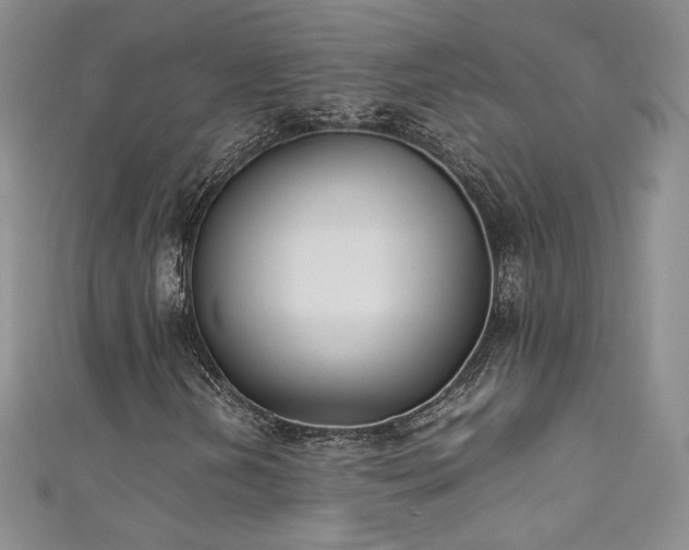 X0000111491202200907141232