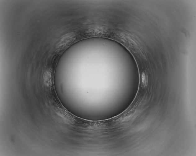 X0000111491203200907141232