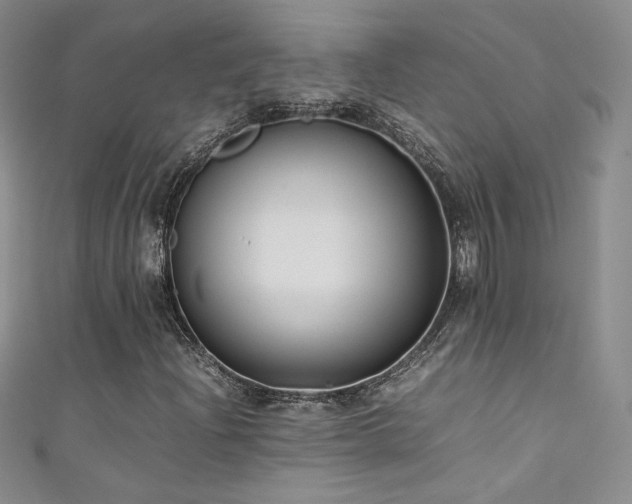 X0000111491204200907141232
