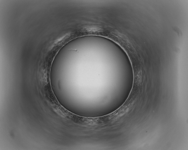 X0000111491205200907141232