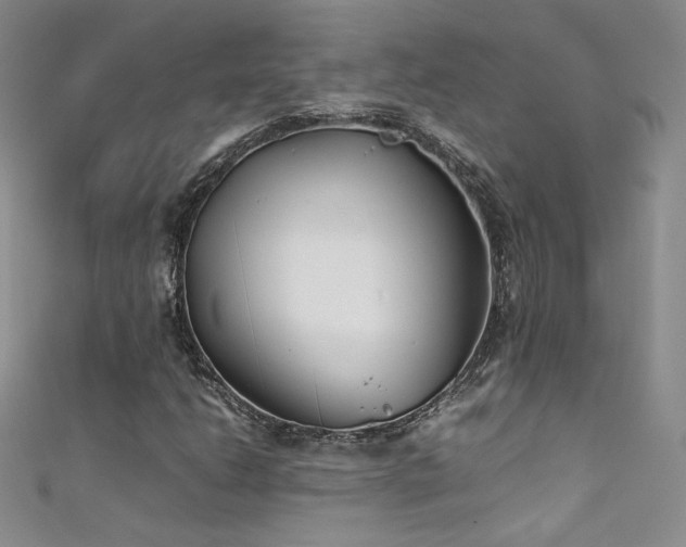 X0000111491206200907141232