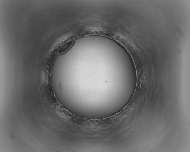 X0000111491207200907141232