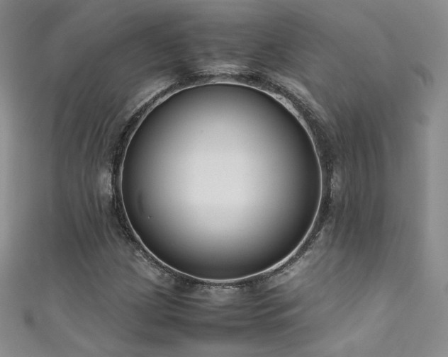 X0000111491209200907141232