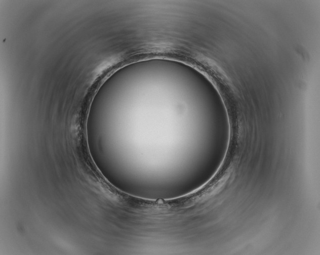X0000111491210200907141232