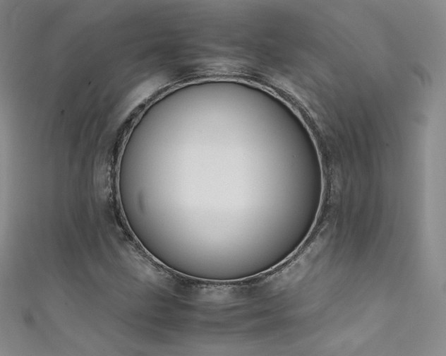 X0000111491211200907141232
