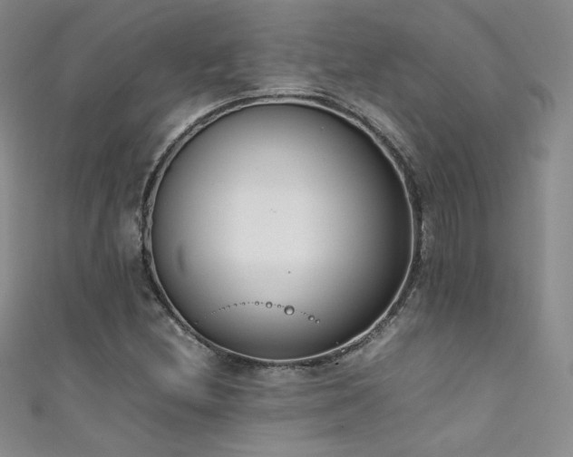X0000111491212200907141232