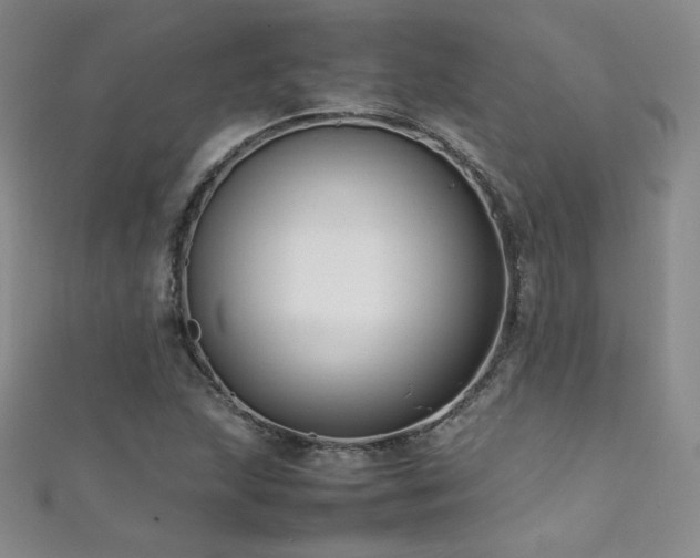 X0000111491215200907141232