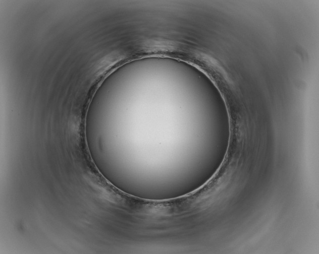 X0000111491217200907141232