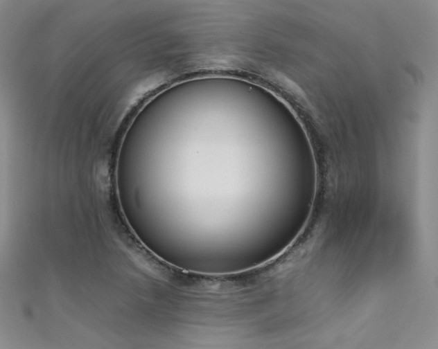 X0000111491218200907141232