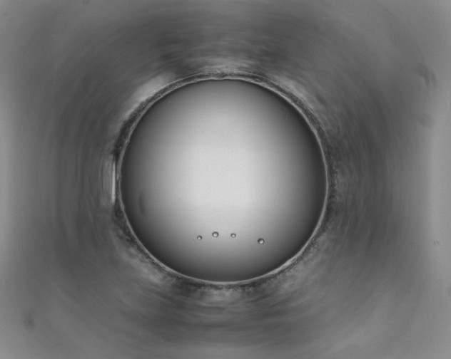 X0000111491219200907141232