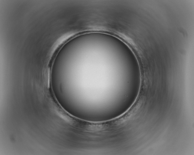 X0000111491223200907141232