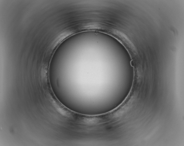 X0000111491225200907141232