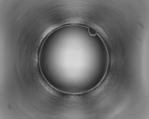 X0000111491226200907141232