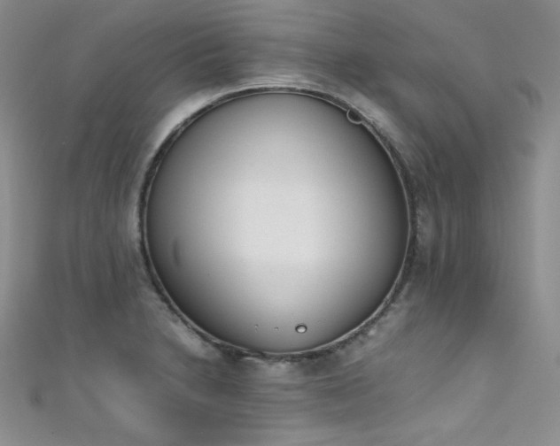 X0000111491230200907141232