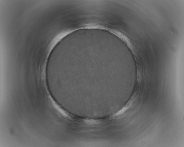 X0000111491231200907141232