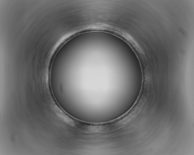 X0000111491232200907141232