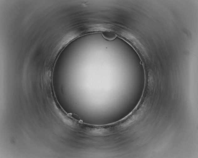 X0000111491233200907141232