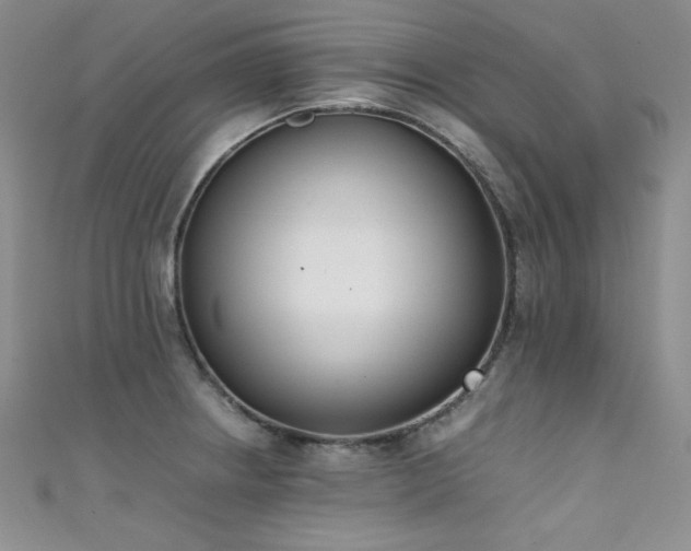 X0000111491234200907141232