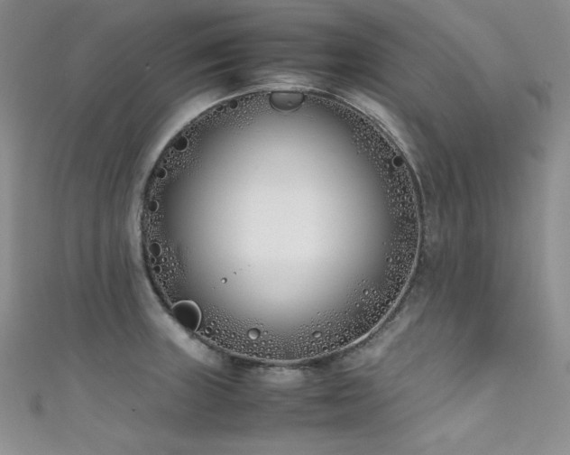 X0000111491235200907141232