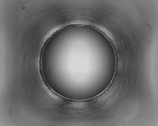 X0000111491237200907141232