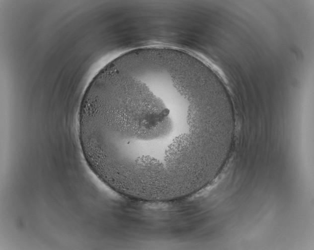 X0000111491239200907141232