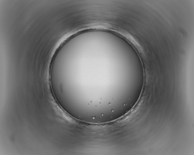 X0000111491240200907141232