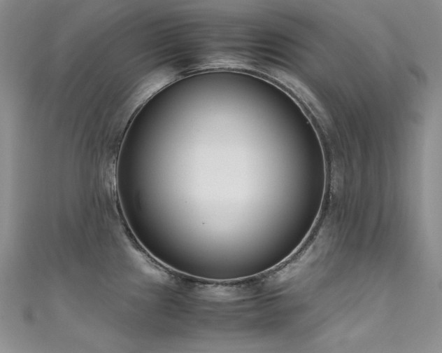 X0000111491241200907141232