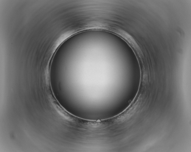 X0000111491242200907141232
