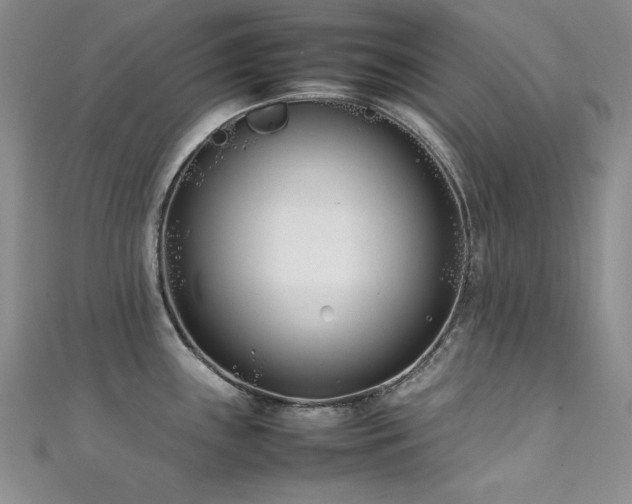X0000111491243200907141232