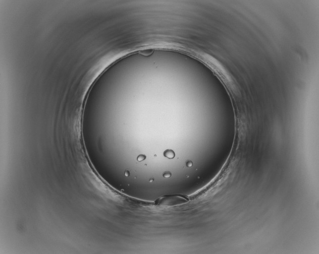 X0000111491244200907141232