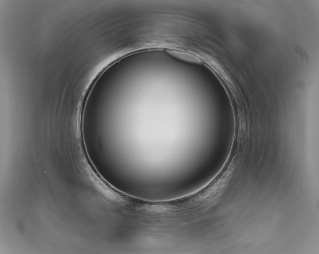X0000111491246200907141232