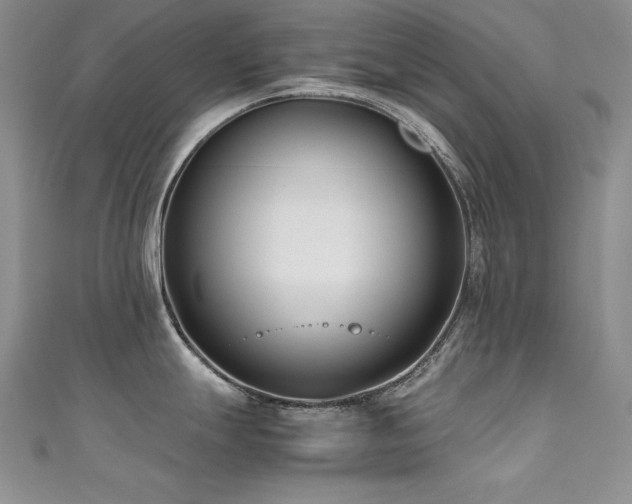 X0000111491247200907141232