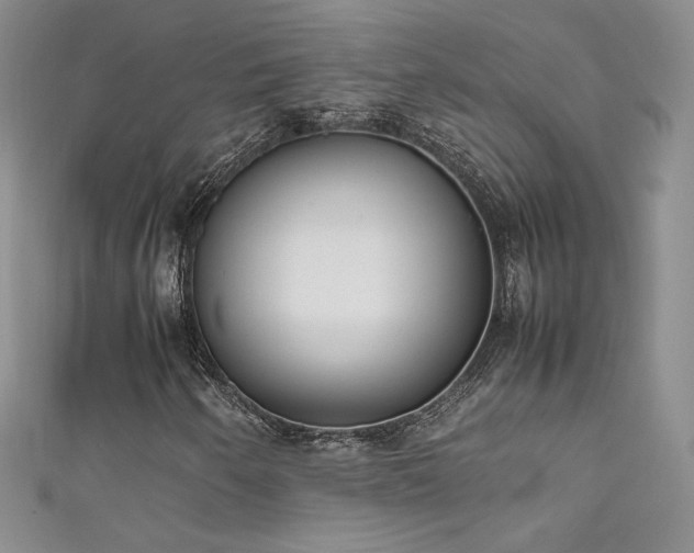 X0000111491250200907141232