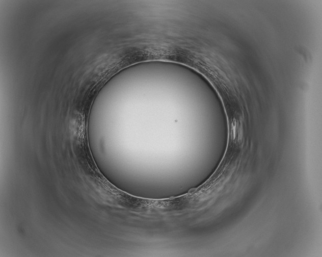 X0000111491251200907141232