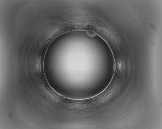 X0000111491252200907141232