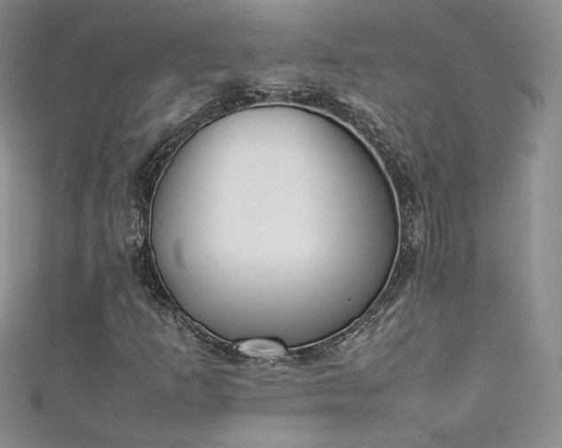 X0000111491253200907141231
