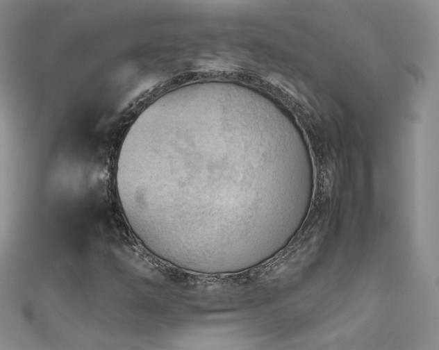X0000111491254200907141231