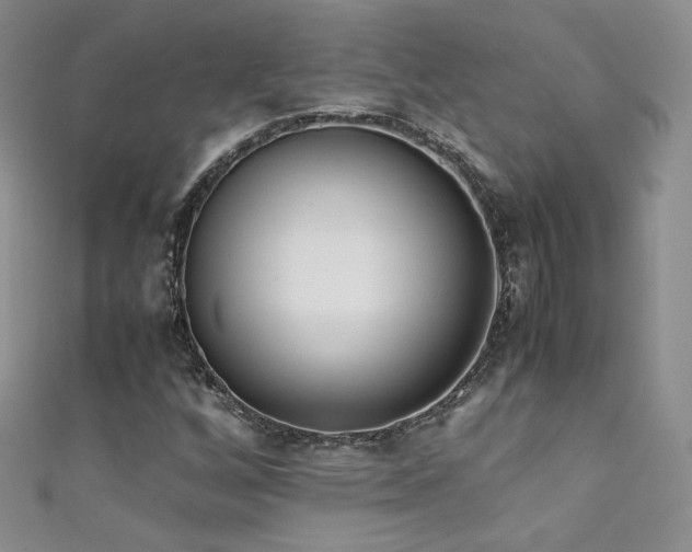 X0000111491256200907141231