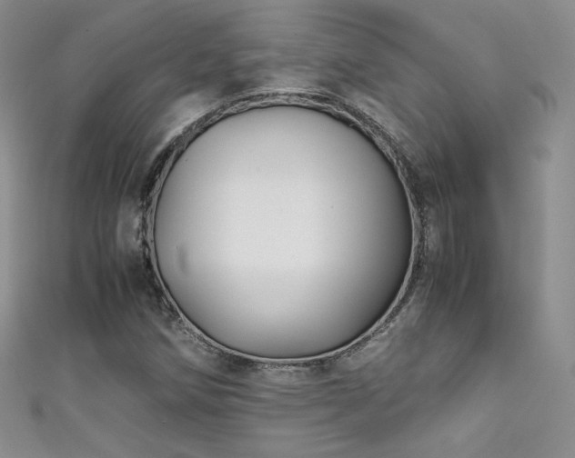 X0000111491258200907141231