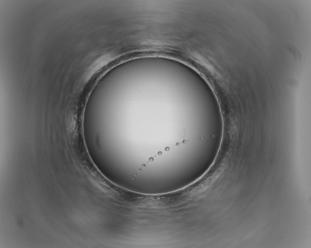 X0000111491259200907141231