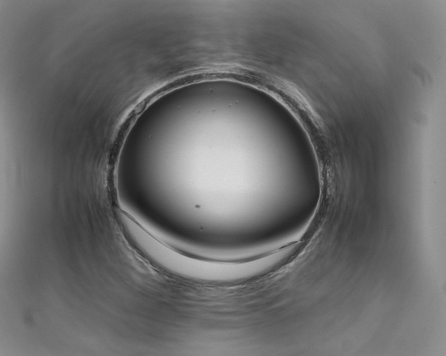 X0000111491260200907141231