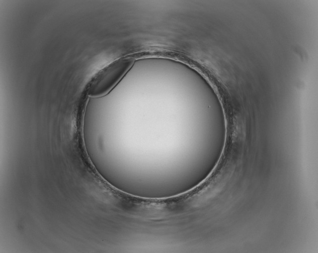 X0000111491261200907141231