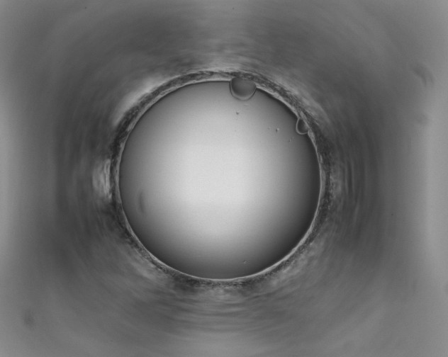 X0000111491262200907141231