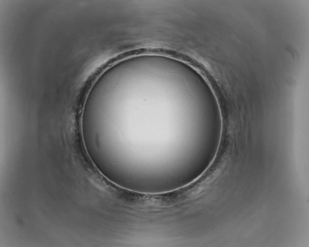 X0000111491263200907141231