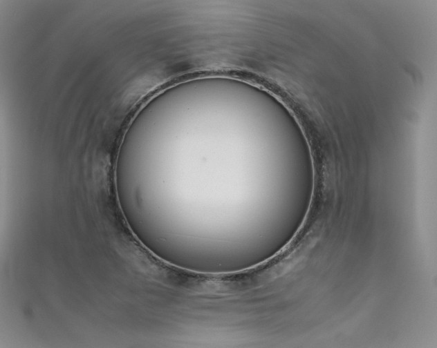 X0000111491265200907141231